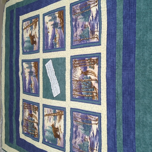Home machine quilt